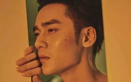 娱乐吃瓜最新事件怎么看,揭秘明星幕后真相